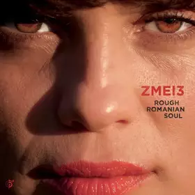 Couverture du produit · Rough Romanian Soul
