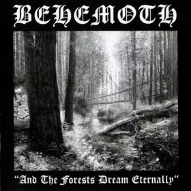 Couverture du produit · And The Forests Dream Eternally