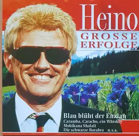Couverture du produit · Grosse Erfolge