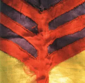 Couverture du produit · Show Your Bones