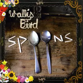 Couverture du produit · Spoons