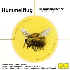 Couverture du produit · Hummelflug (Ein Musikalischer Frühling)