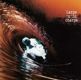 Couverture du produit · Large 'N' In Charge