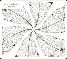 Couverture du produit · 3000 Days