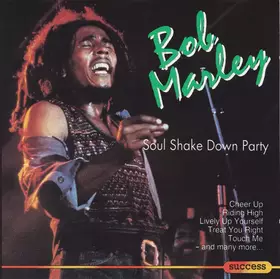 Couverture du produit · Soul Shake Down Party
