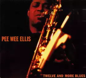 Couverture du produit · Twelve And More Blues