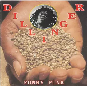 Couverture du produit · Funky Punk