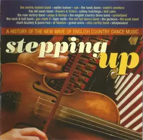 Couverture du produit · Stepping Up