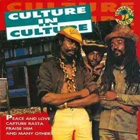 Couverture du produit · In Culture