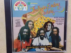 Couverture du produit · The Never Ending Wailers