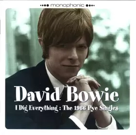 Couverture du produit · I Dig Everything: The 1966 Pye Singles