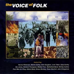 Couverture du produit · The Voice Of Folk