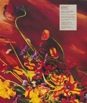 Couverture du produit · Flowers In The Dirt