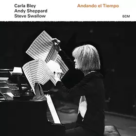 Couverture du produit · Andando El Tiempo