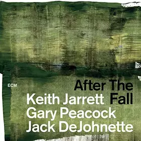 Couverture du produit · After the Fall