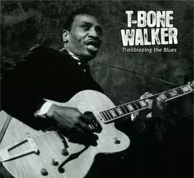 Couverture du produit · Trailblazing The Blues