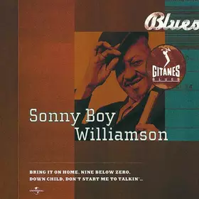 Couverture du produit · Sonny Boy Williamson