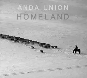 Couverture du produit · Homeland