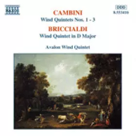 Couverture du produit · Wind Quintets Nos. 1-3, Wind Quintet in D Major