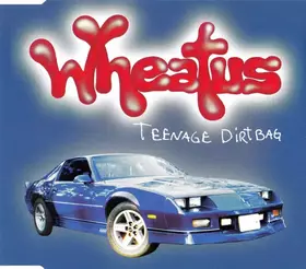 Couverture du produit · Teenage Dirtbag