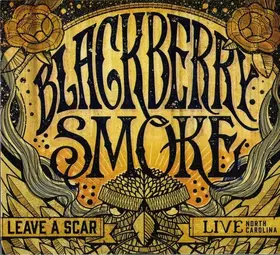 Couverture du produit · Leave A Scar Live