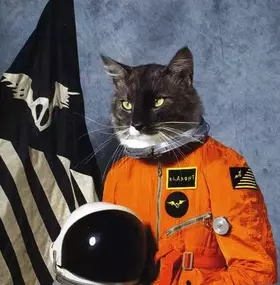 Couverture du produit · Surfing The Void