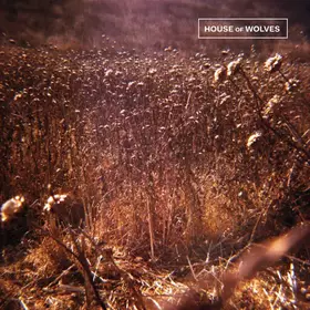 Couverture du produit · House Of Wolves