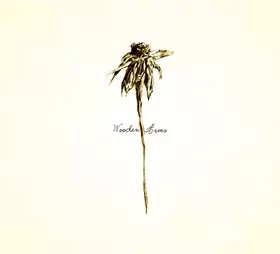 Couverture du produit · Wooden Arms