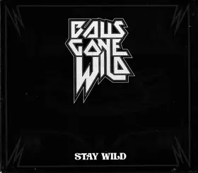 Couverture du produit · Stay Wild