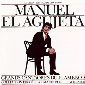Couverture du produit · Flamenco Great Figures 8
