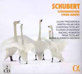 Couverture du produit · Schwanengesang, String Quintet