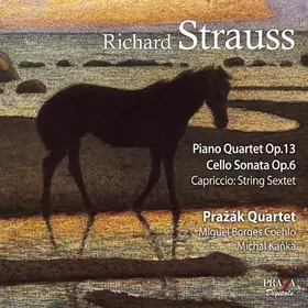Couverture du produit · Piano Quartet Op.13/Capri
