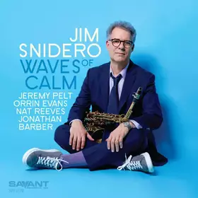 Couverture du produit · Waves Of Calm