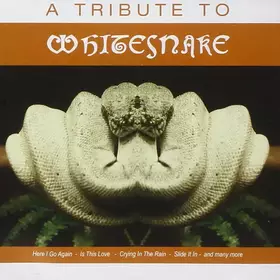 Couverture du produit · A Tribute To Whitesnake