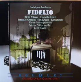 Couverture du produit · Fidelio - Grosser Opern-Querschnitt