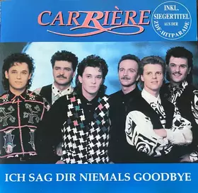 Couverture du produit · Ich Sag Dir Niemals Goodbye