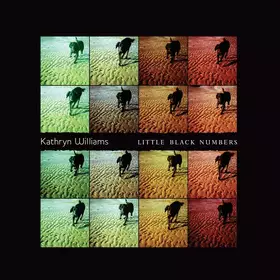 Couverture du produit · Little Black Numbers