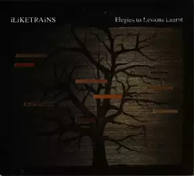 Couverture du produit · Elegies To Lessons Learnt