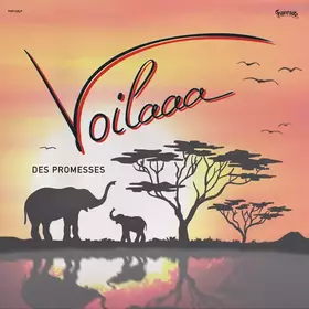 Couverture du produit · Des Promesses