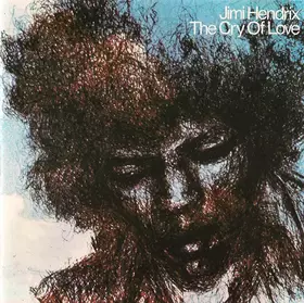 Couverture du produit · The Cry Of Love