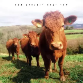 Couverture du produit · Holy Cow