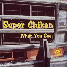 Couverture du produit · What You See