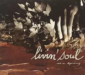 Couverture du produit · as a Spring [Import]