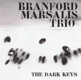 Couverture du produit · The Dark Keys