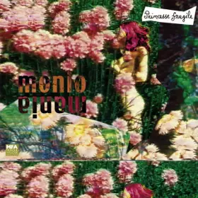 Couverture du produit · Princesse Fragile