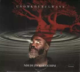 Couverture du produit · Unomkhubulwane