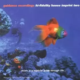 Couverture du produit · Hi Fidelity House Vol II