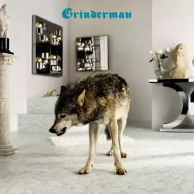 Couverture du produit · Grinderman 2