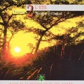 Couverture du produit · Oxygene 2 Musique Et Soleil été