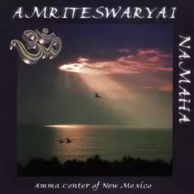 Couverture du produit · Om Amriteswaryai Namaha